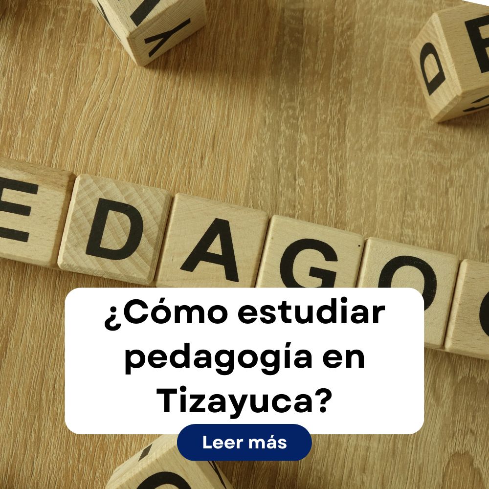 Estudiar Pedagogía a distancia 2024